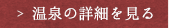 温泉の詳細を見る
