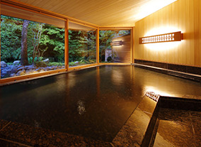 椎葉山荘「山の湯」